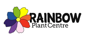 Rainbow Plant Centre